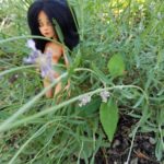 Hope doll in nature